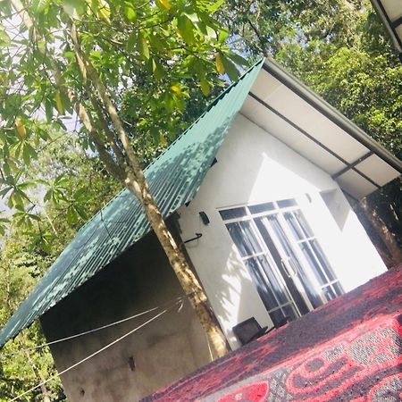 Little Wood Villa And Retreats Doluwa Канди Экстерьер фото