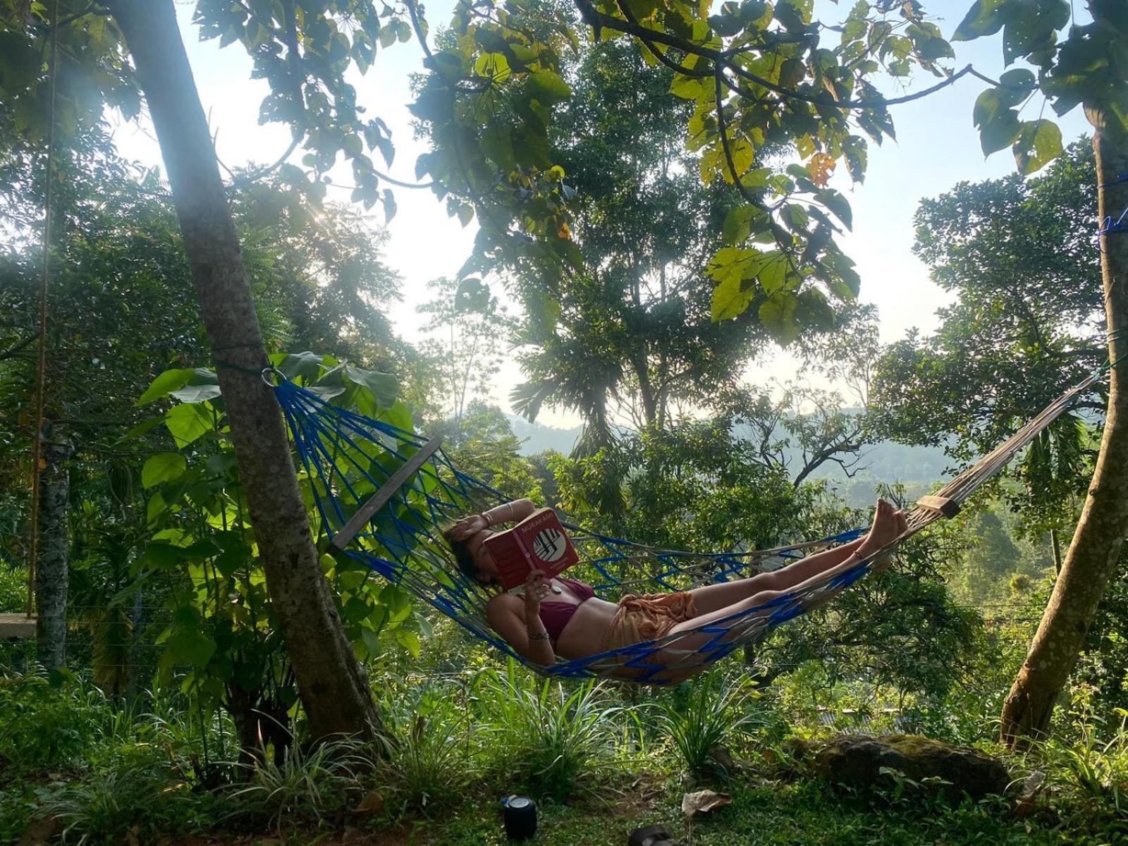 Little Wood Villa And Retreats Doluwa Канди Экстерьер фото